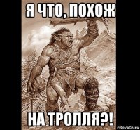 я что, похож на тролля?!