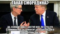 такая смородина? да, icurrant имеет доступ wifi, по сути это стримминг, но он приносит больше плодов в плане реплантинга