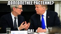 долголетнее растение? да!