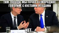 тим, погоди, мы точно о смородине говорим. с кустами, ягодами нет...