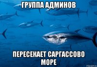 группа админов пересекает саргассово море