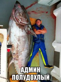  админ полудохлый