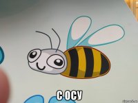  с осу