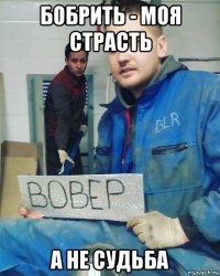 бобрить - моя страсть а не судьба