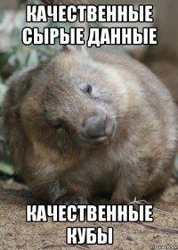 качественные сырые данные качественные кубы
