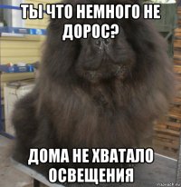 ты что немного не дорос? дома не хватало освещения