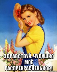  здравствуй. чудушко моё распрекрасненькое !