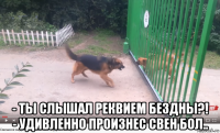  - ты слышал реквием бездны?! - удивленно произнес свен бол..