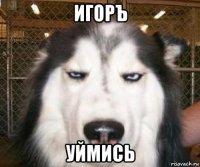 игоръ уймись