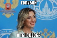 голубой и ты здесь?