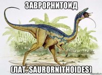 заврорнитоид (лат. saurornithoides)