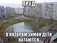 пруд в котором зимой дети катаются