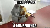купил собаку а она бешеная