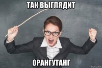 так выглядит орангутанг