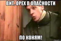 вит, орех в опасности по коням!
