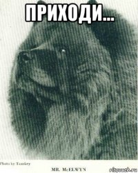 приходи... 