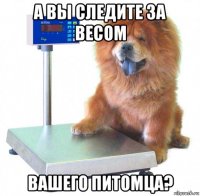 а вы следите за весом вашего питомца?