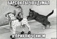 барсок ты чо удумал к приключением