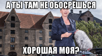 а ты там не обосрёшься хорошая моя?