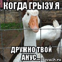 когда грызу я дружно твой анус...