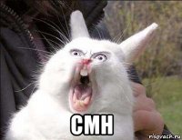  смн