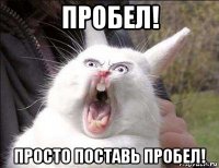 пробел! просто поставь пробел!
