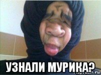  узнали мурика?