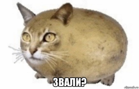  звали?