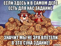 если здесь и в самом деле есть для нас задание, значит мы не зря влетели в это сука здание!