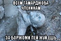 всем гамарджоба членинам за боржоми пей жуй ешь