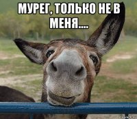 мурег, только не в меня.... 