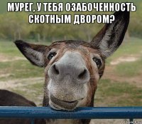 мурег, у тебя озабоченность скотным двором? 
