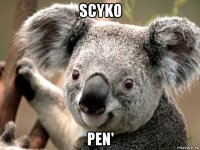 scyko pen'