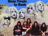  dp