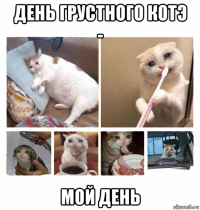 день грустного котэ - мой день
