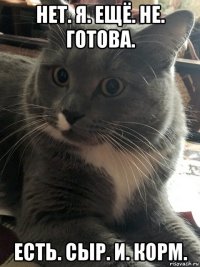 нет. я. ещё. не. готова. есть. сыр. и. корм.