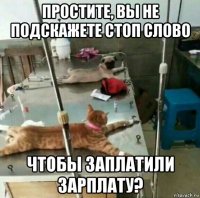 простите, вы не подскажете стоп слово чтобы заплатили зарплату?