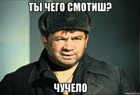 ты чего смотиш? чучело
