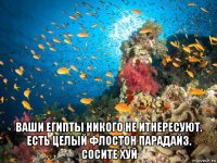  ваши египты никого не итнересуют. есть целый флостон парадайз. сосите хуй