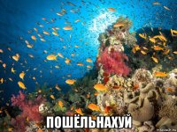  пошёльнахуй