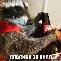  спасибо за пиво