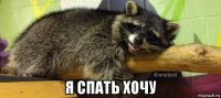  я спать хочу