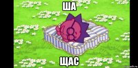 ша щас