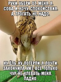 руки. убери. от. меня. я. сова. и. хочу. спокойствия. а. трогать. не. надо. ну. ёль. ну. потерпи. я. почти. закончила. уже. всё. только. чур. не. клевать. меня. ладно.