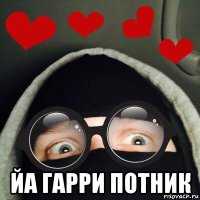  йа гарри потник