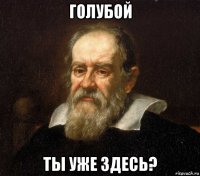 голубой ты уже здесь?