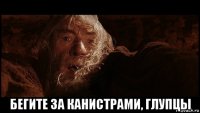  бегите за канистрами, глупцы
