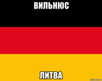 вильнюс литва