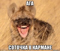 ага соточка в кармане