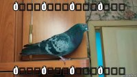 смешная картинка, смешной комикс, прикол